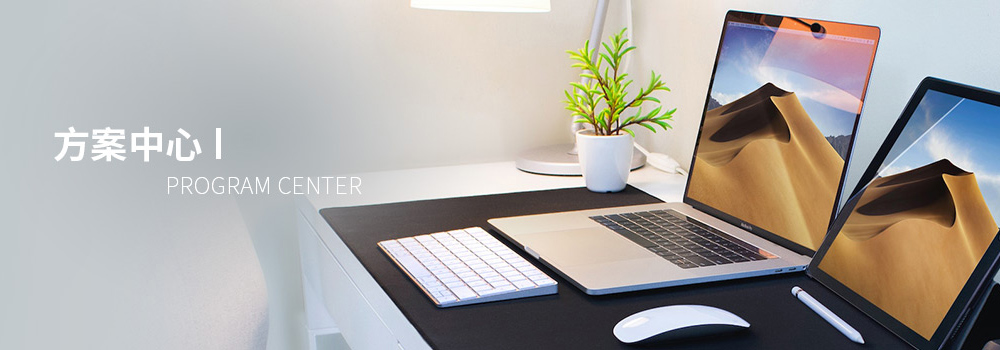 5+5+N Industry Ecology