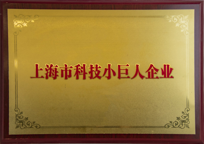 Small technology giant enterprise